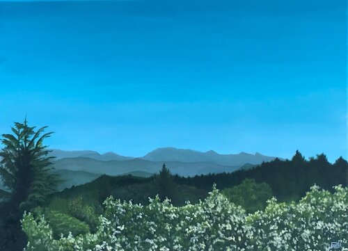 Vue depuis le Col des Mourèzes by jean-michel poveda, Painting for Sale on Singulart