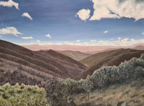 Chemin de Peyridier (Saint-Roman-de-Cordières) by jean-michel poveda, Painting for Sale on Singulart