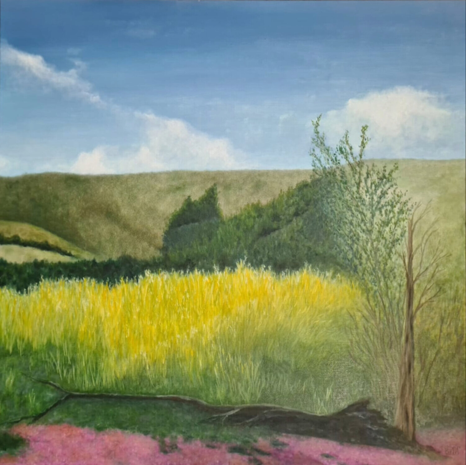 Paysage Lac du Salagou jean-michel poveda Original painting for sale