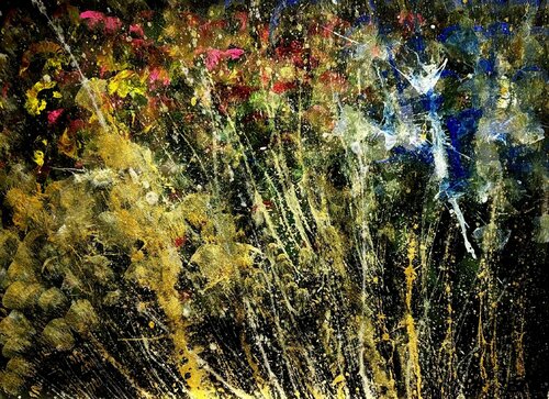 Chaos In Bloom HANSA SETHI