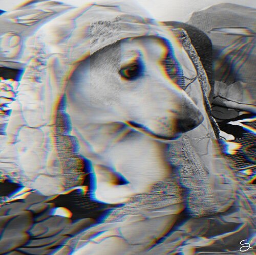 Regrets von HANSA SETHI, Fotografie kaufen auf Singulart