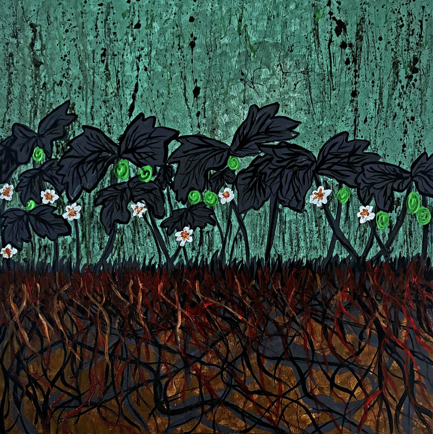 Mayapple HANSA SETHI