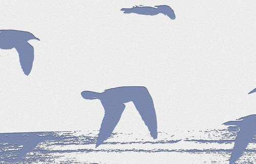 FLYING  SILHOUETTES von Eugenio Di Paolo, Fotografie kaufen auf Singulart