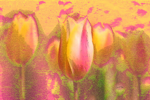Life of Tulips by Eugenio Di Paolo, Other Media for Sale on Singulart