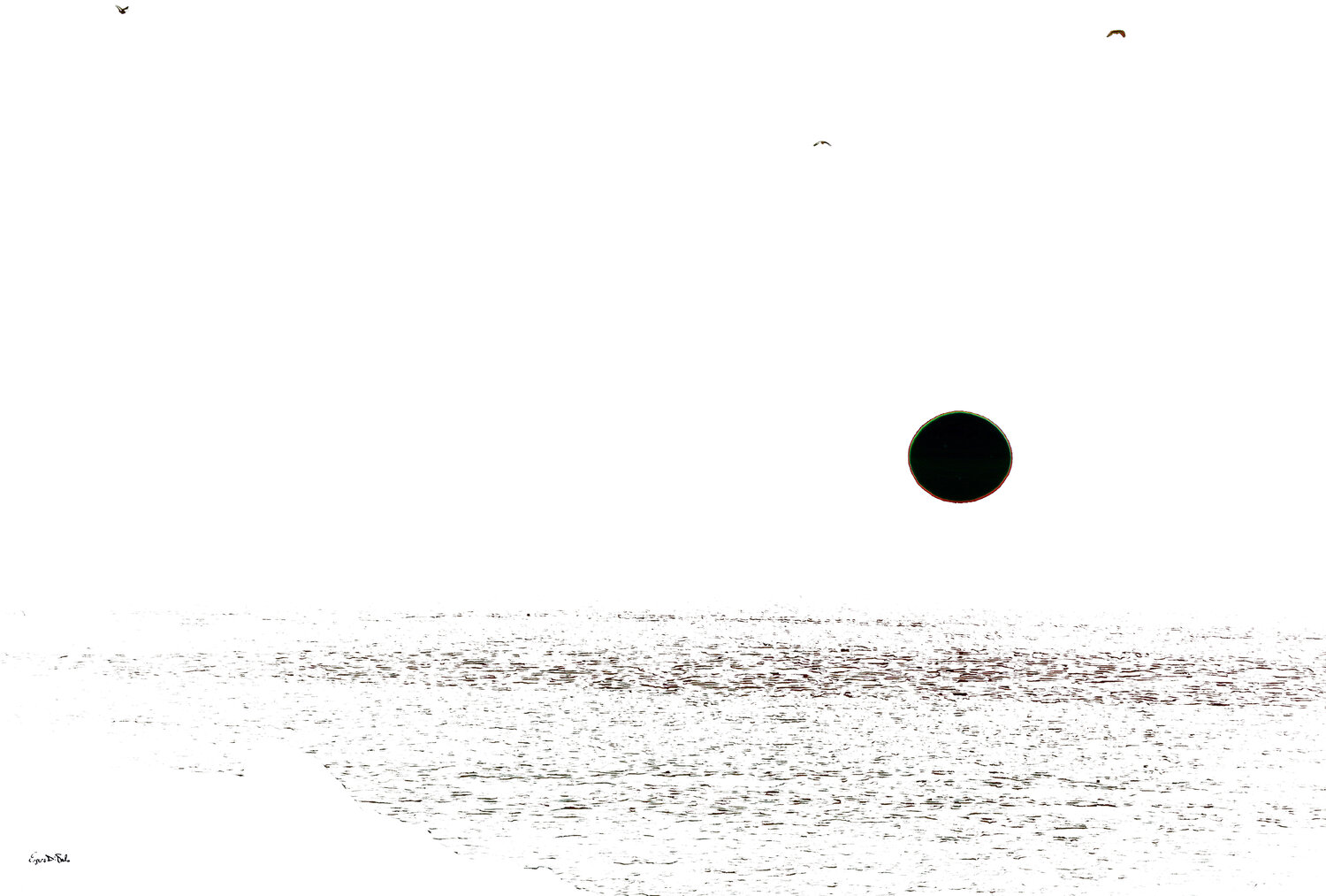 BLACK SUN Eugenio Di Paolo