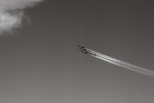 Silent Vector - Limited edition of 15 by Nick Maric, 사진 for Sale on Singulart