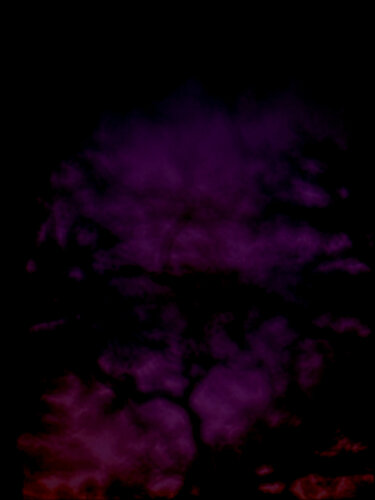 Obscura de Eric Rugers, Impresión a la venta en Singulart