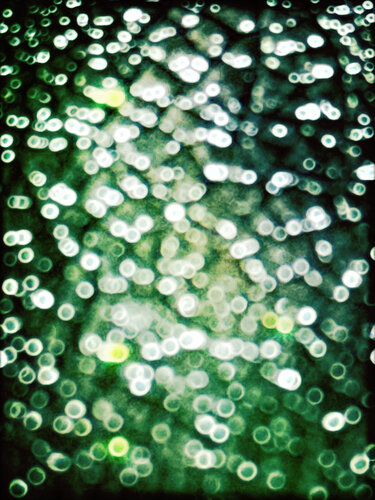 Firefly I by Eric Rugers, Print for Sale on Singulart