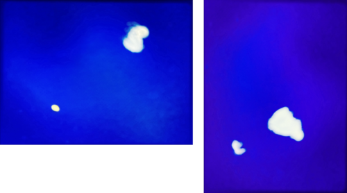 La Danse Céleste – Diptych de Eric Rugers, Impresión a la venta en Singulart