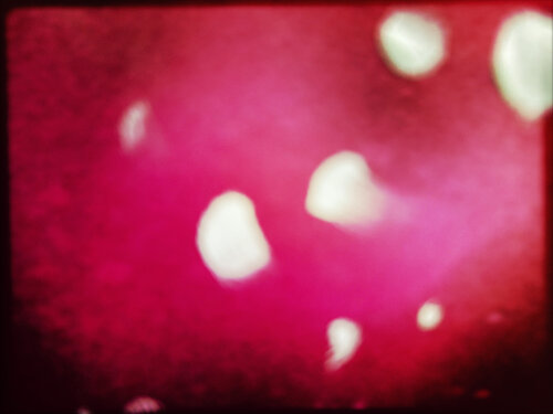 La Danse Céleste – Extravagante de Eric Rugers, Impresión a la venta en Singulart