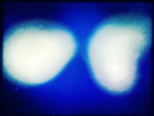 Hello Halo Eric Rugers