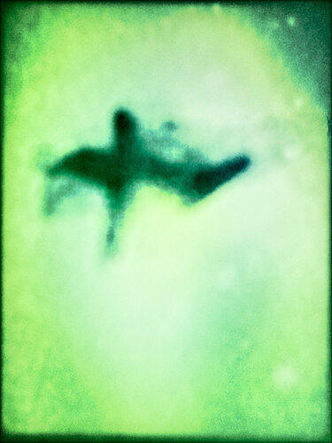 The Rise di Eric Rugers, Stampa in vendita su Singulart