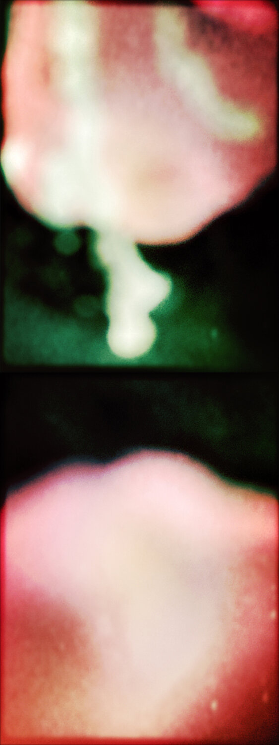 Sense and Sensitivity – Diptych Eric Rugers