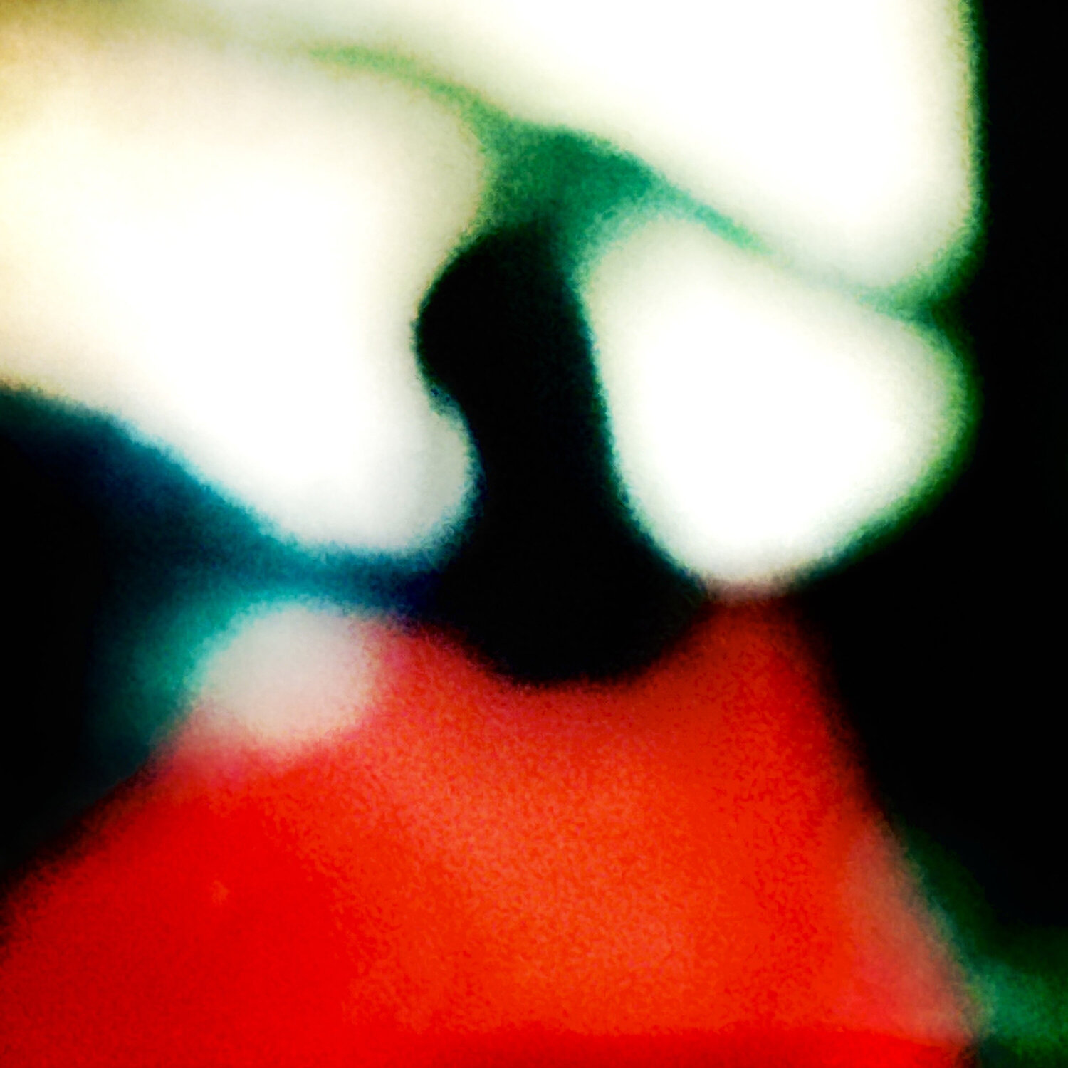 A Forest Eric Rugers