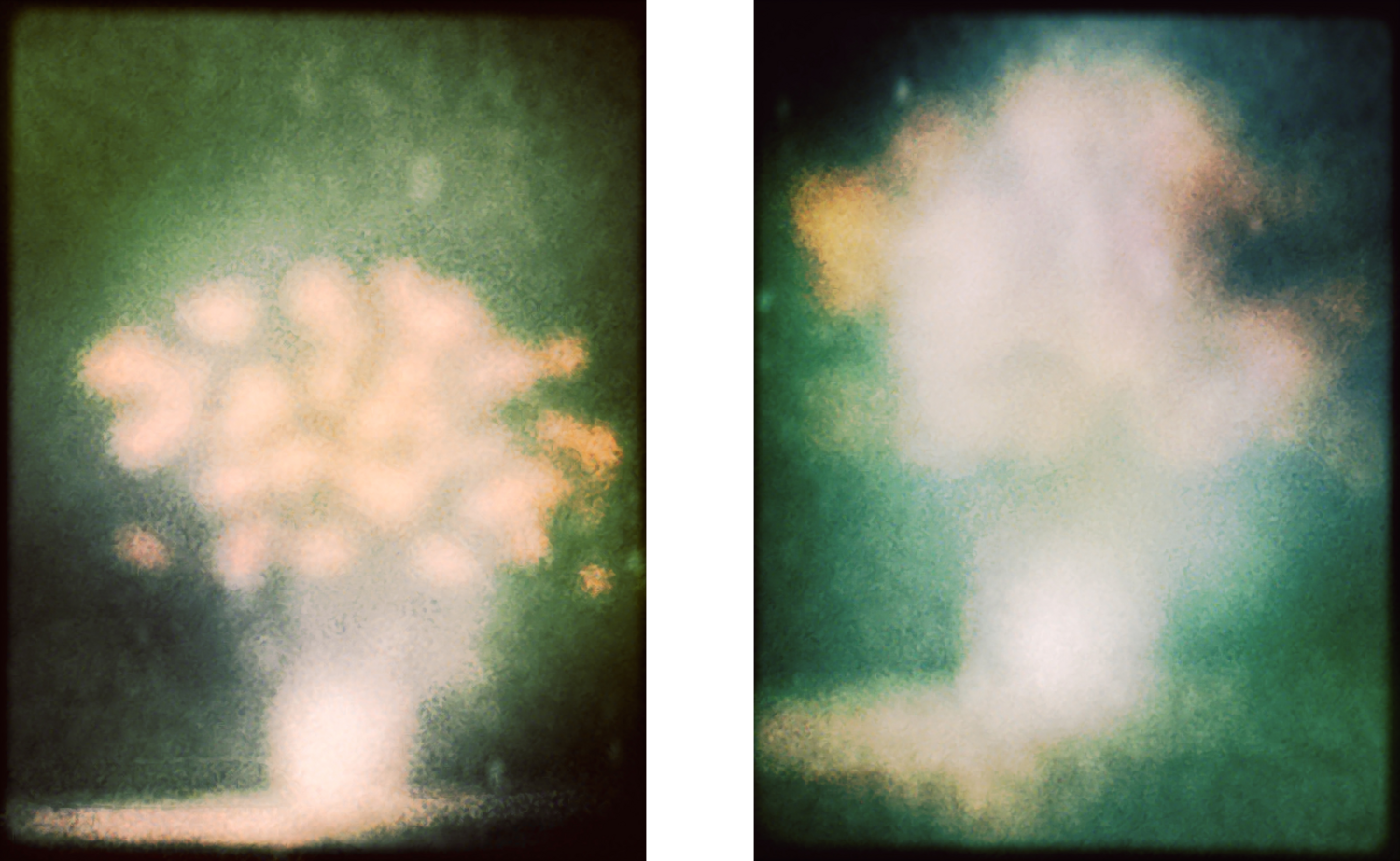 Collapse (Still Life) – Diptych Eric Rugers
