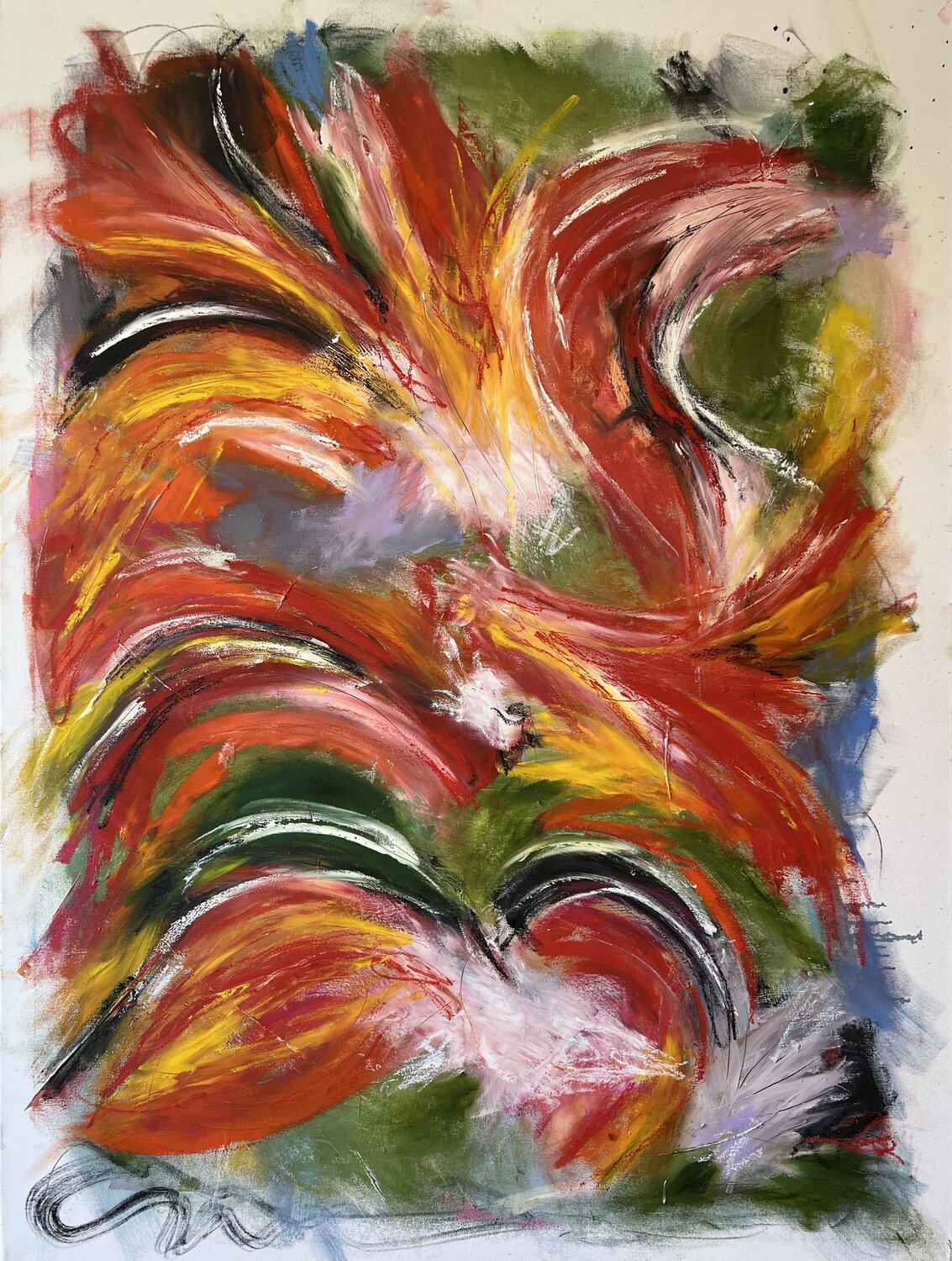 Birds of Paradise Lynn MacDonald