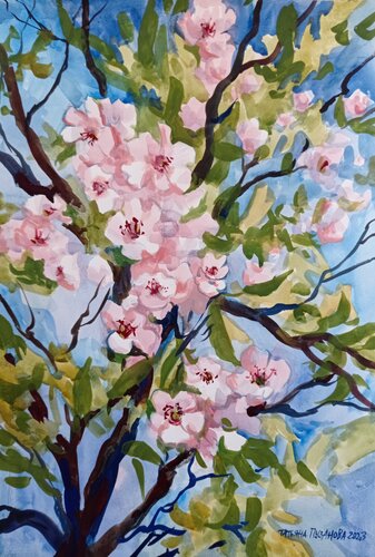 Cherry flowers von Tatiana Pouzanova-Galatch, Malerei kaufen auf Singulart