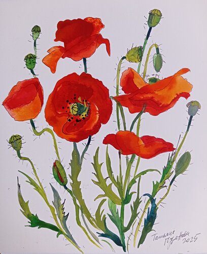 Poppies von Tatiana Pouzanova-Galatch, Malerei kaufen auf Singulart