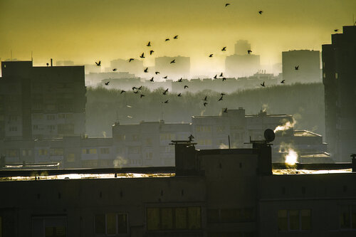 Home Sweet Home 4_5_07 von Veselin Borishev, Fotografie kaufen auf Singulart