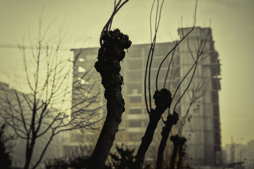 Home Sweet Home 3_3_03 von Veselin Borishev, Fotografie kaufen auf Singulart