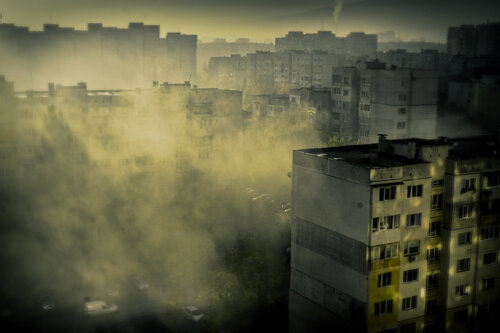 Home Sweet Home 3_3_02 Veselin Borishev