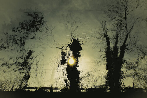 Home Sweet Home 6_3_07 by Veselin Borishev, Photography for Sale on Singulart