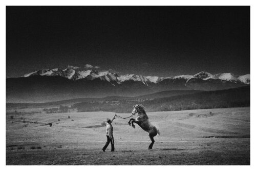 Pets and Other Species 93 von Veselin Borishev, Fotografie kaufen auf Singulart