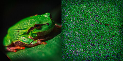 Post Factum II von Veselin Borishev, Fotografie kaufen auf Singulart