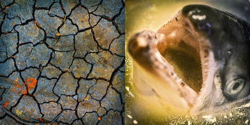 Post Factum III par Veselin Borishev, Photographie en vente sur Singulart