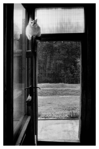 Pets and Other Species 308 par Veselin Borishev, Photographie en vente sur Singulart