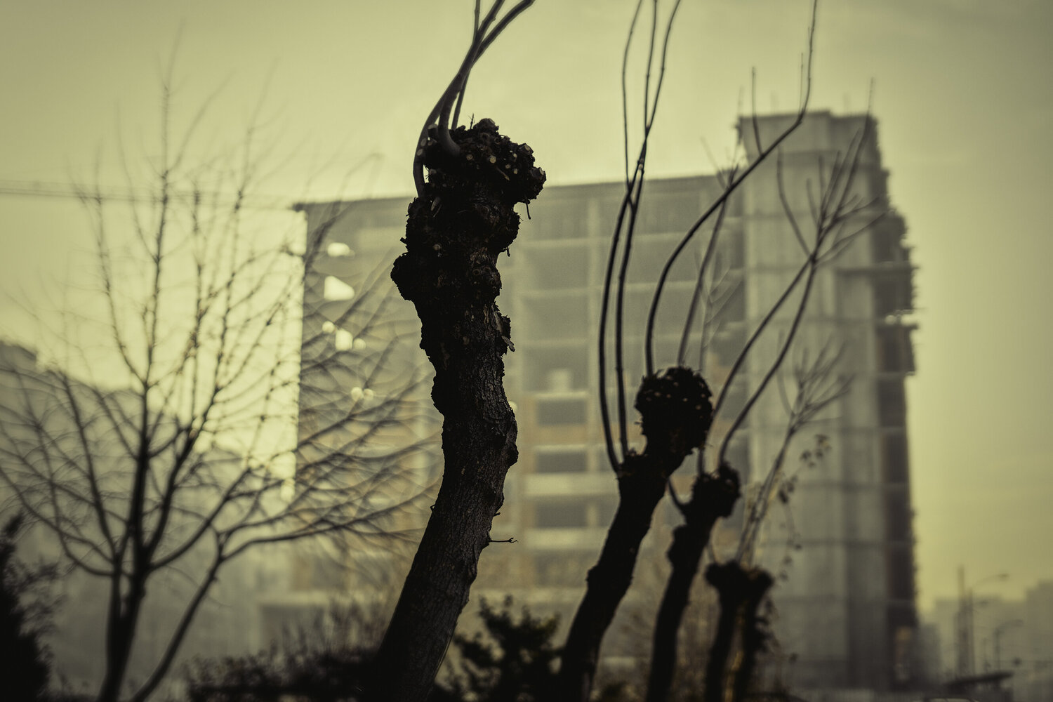 Home Sweet Home 3_3_03 Veselin Borishev