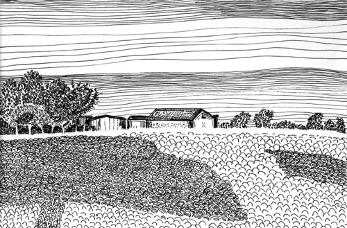 Schattenbaum III by Thomas Anton Stribick, Drawing for Sale on Singulart