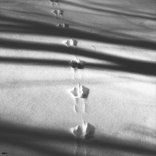 Les traces di xavier Duport, Fotografia in vendita su Singulart