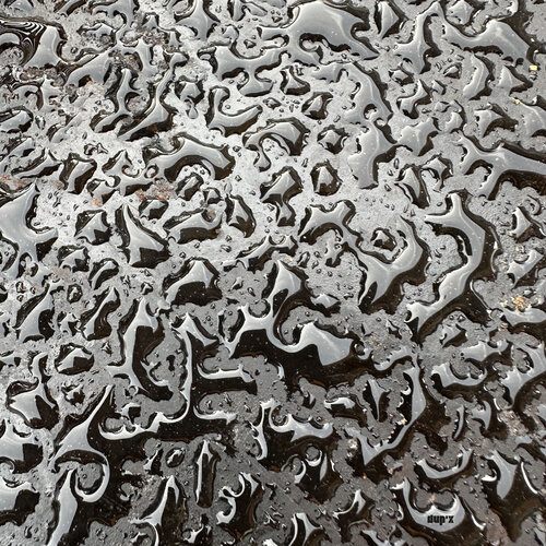 Après la pluie di xavier Duport, Fotografia in vendita su Singulart
