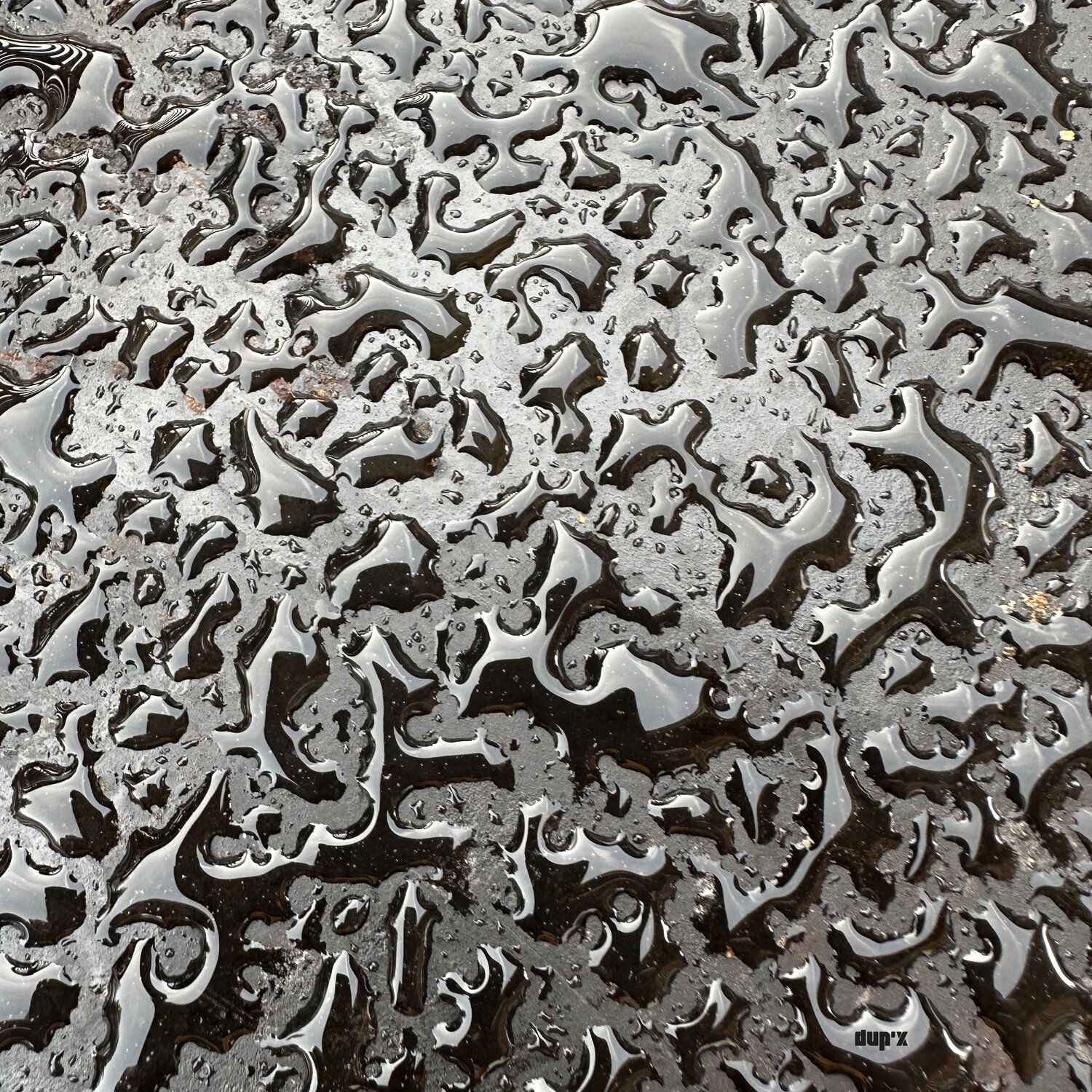 Après la pluie xavier Duport