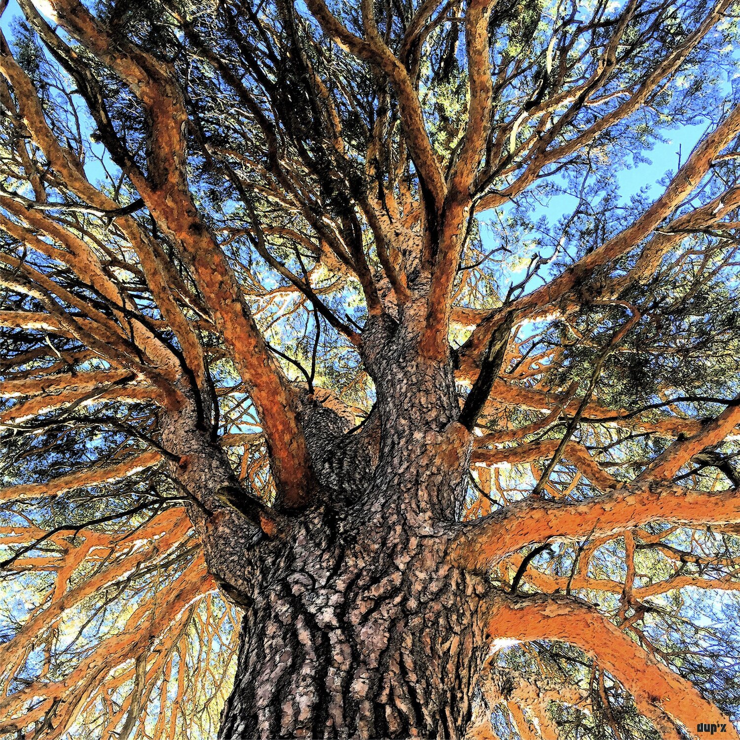 L'arbre Lumière xavier Duport