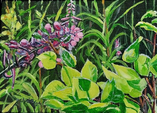 Fireweed by Clyde Smith, Painting for Sale on Singulart
