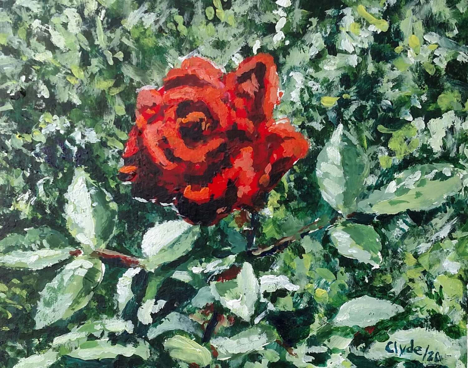 The Last Rose Clyde Smith