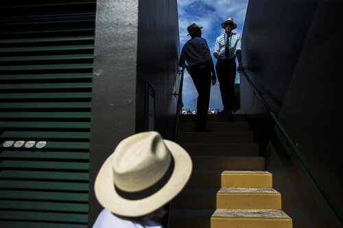 Wimbledon par Pavel Golovkin, Photographie en vente sur Singulart