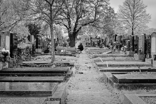 Zwiesprache von Peter Reichert, Fotografie kaufen auf Singulart