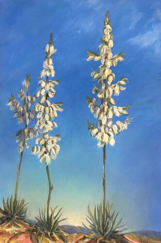 Yucca by Deirdre Dyson, Painting for Sale on Singulart