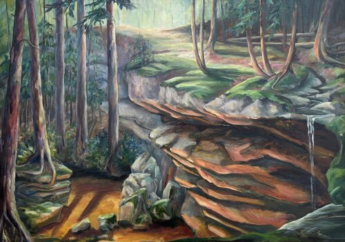 Hocking Hills State Park, Ohio by Deirdre Dyson, Painting for Sale on Singulart