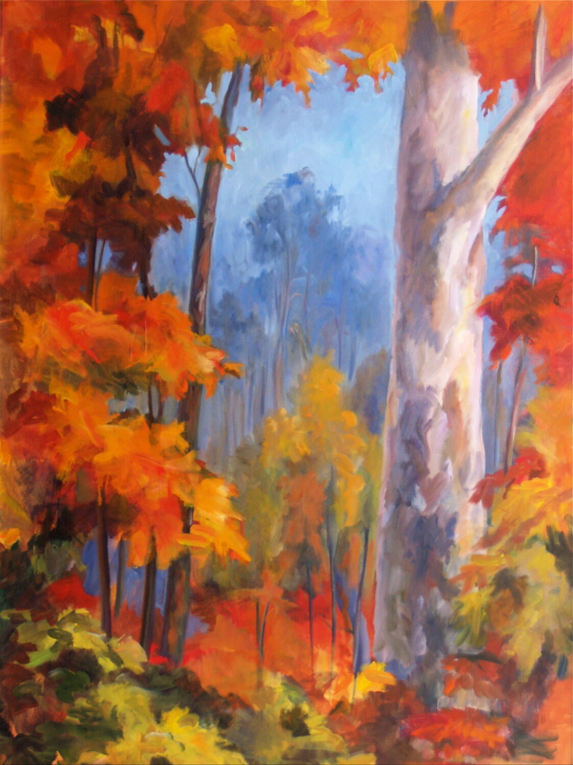 Sycamore Morning Deirdre Dyson