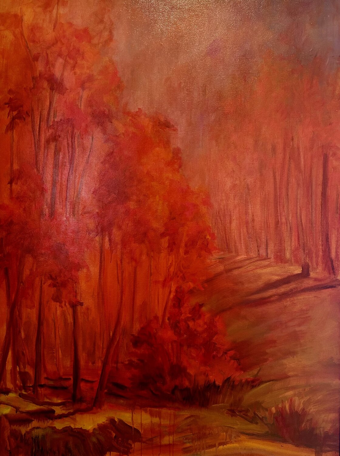 Red Glow, Spring Grove, Cincinnati, Ohio Deirdre Dyson