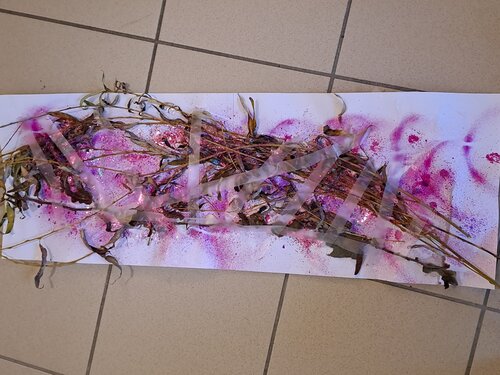 LES feuilles capteuses de CO2;en fin de vie by Dominick Poulain, Work on Paper for Sale on Singulart