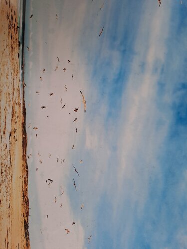 La plage by Dominick Poulain, Digital for Sale on Singulart
