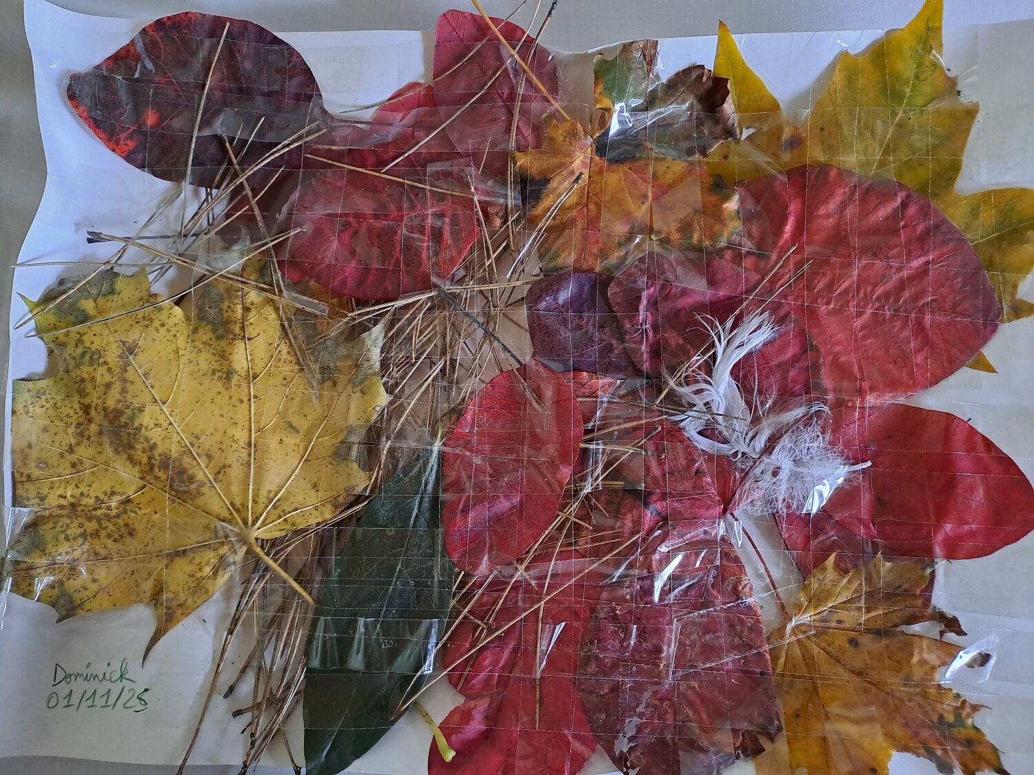 Les feuilles d'automne Dominick Poulain