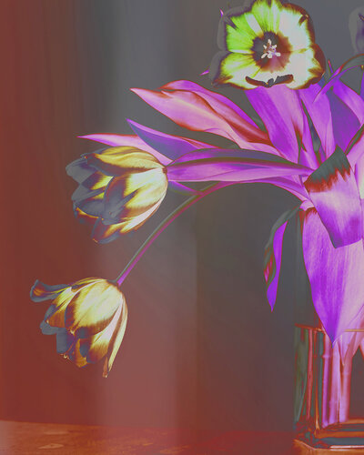 Songes inversés by Jean Vachon, Photography for Sale on Singulart
