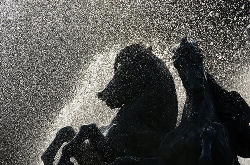 Bronze and Torrent (Fountain of Explorers in Paris) von Yann Gourvennec, Fotografie kaufen auf Singulart