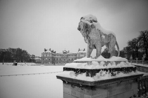 Winter Guardian in Luxembourg gardens Yann Gourvennec